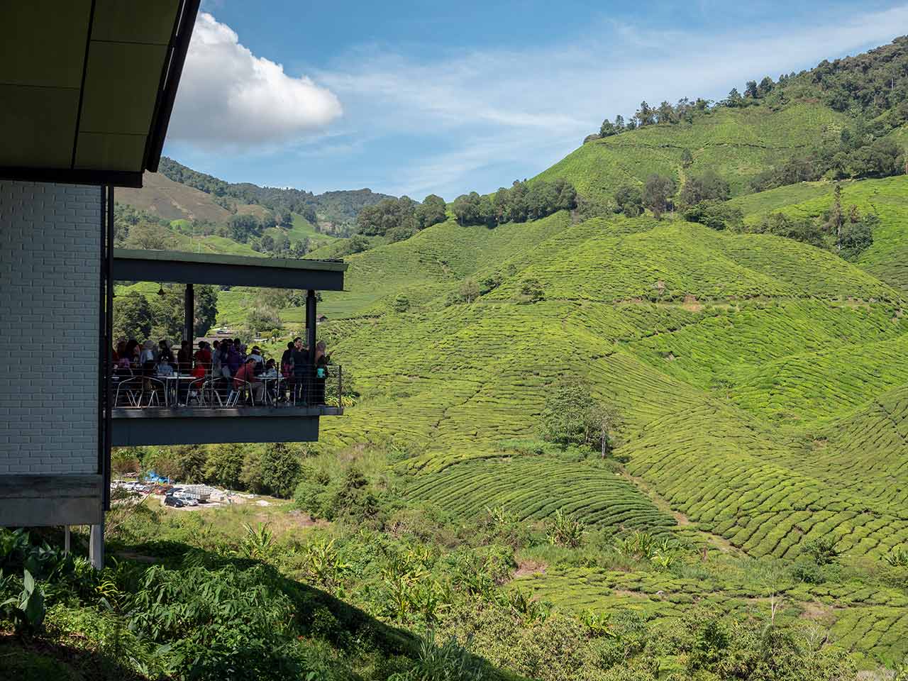 Café mit Terrasse und Aussicht auf die Teeplantagen in den Cameron Highlands