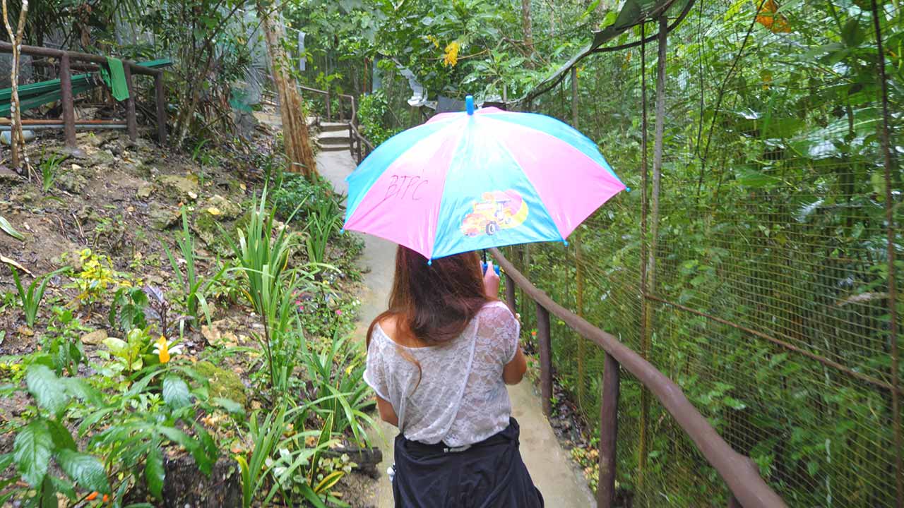 Jasmin läuft mit Regenschirm durch die Tarsier Conversation Area