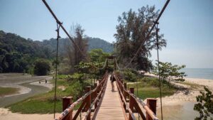 Penang Nationalpark: Das kleinste Dschungelabenteuer der Welt!