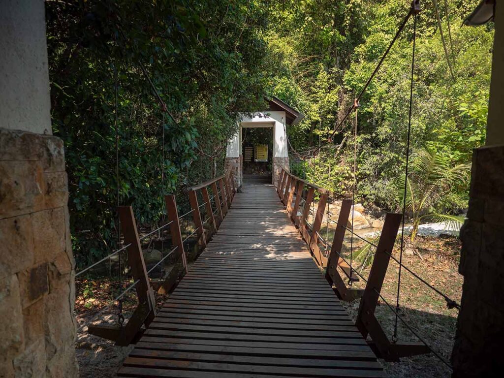 Hängebrücke im Penang Nationalpark