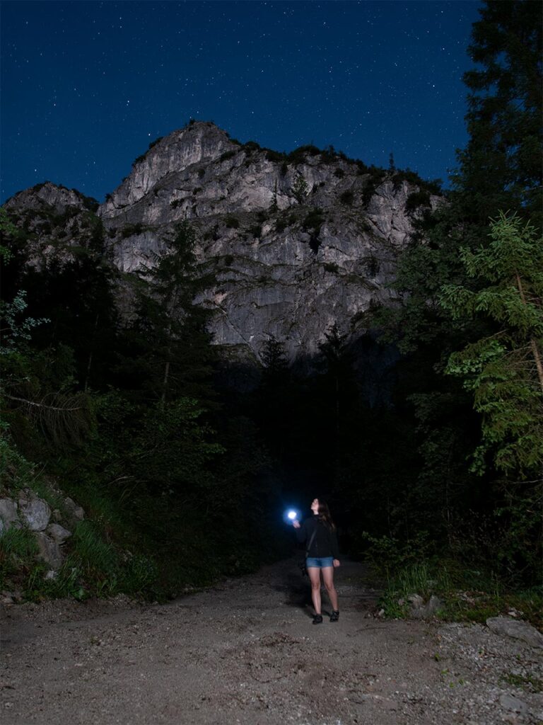 Vakuya Presets: Königssee Archenkanzel Sternenhimmel vorher